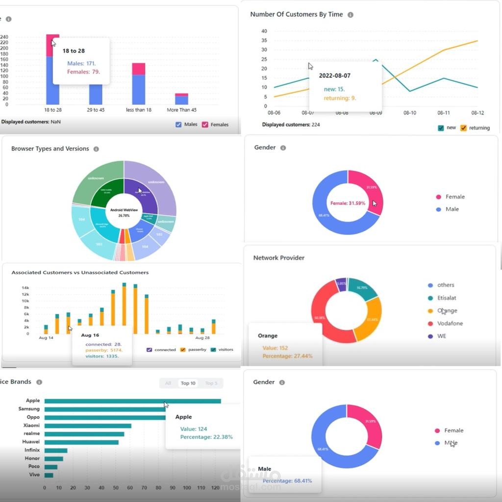 تحليل وعرض البيانات - Data Analysis and Visualization