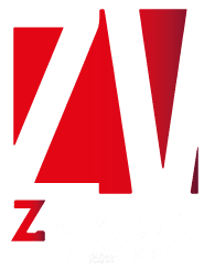 z vision audiovisual