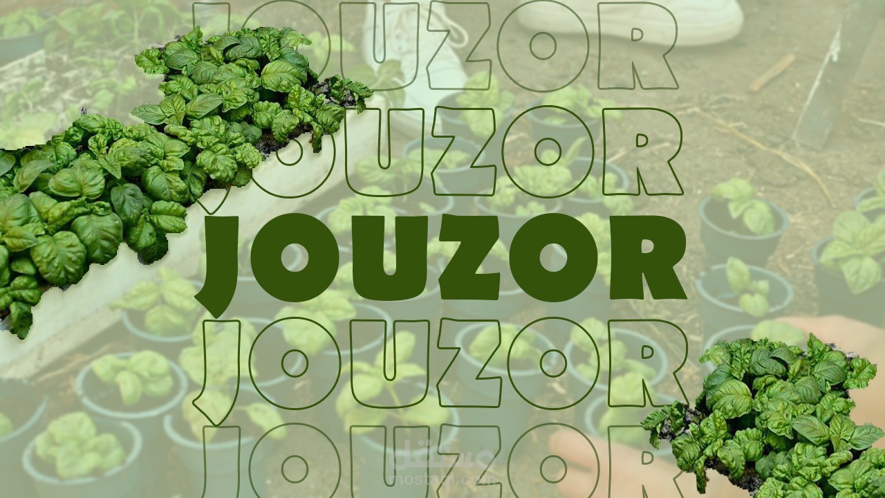 هوية بصرية كاملة لمشروع تنمية مستدامة