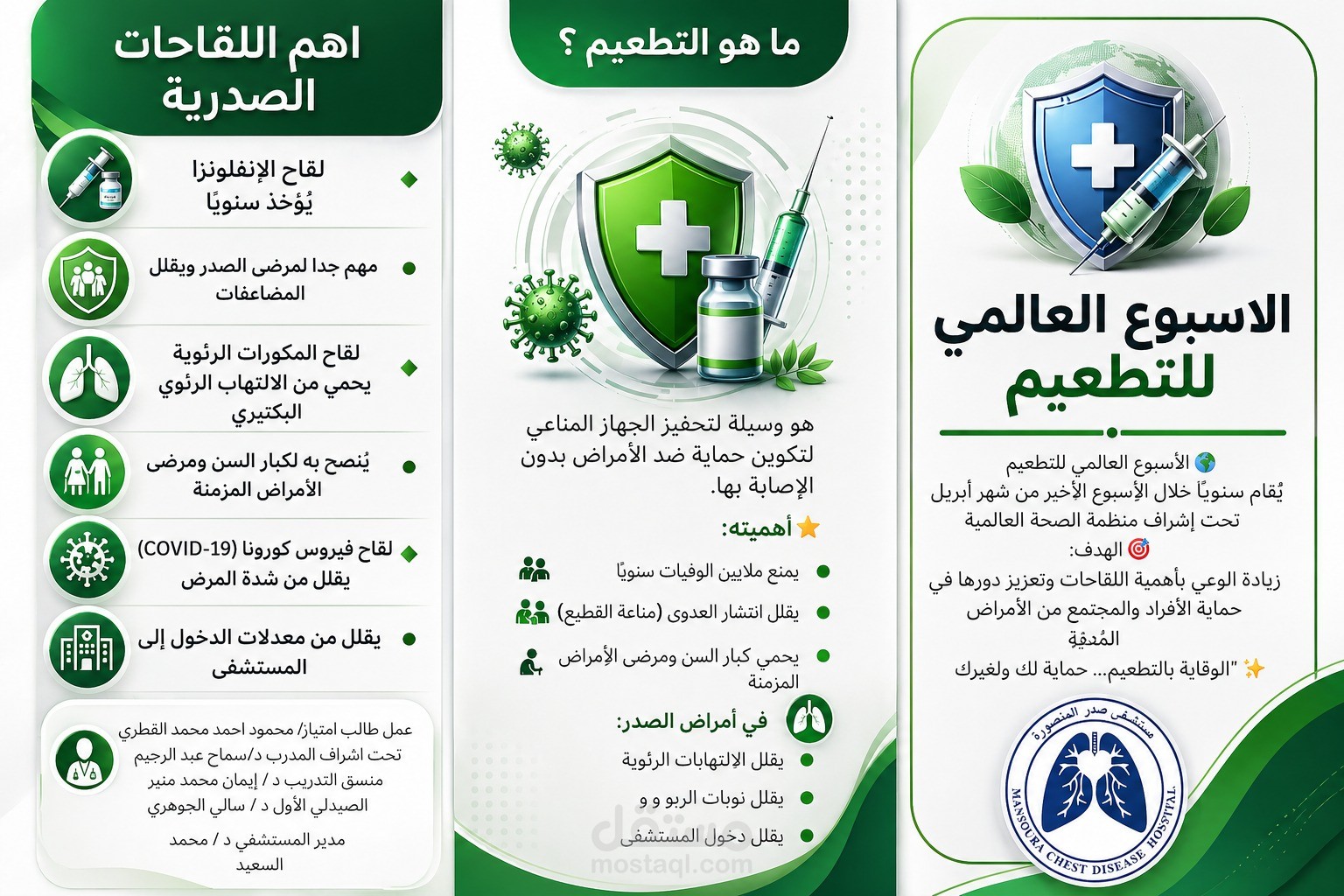 فلاير احترافي