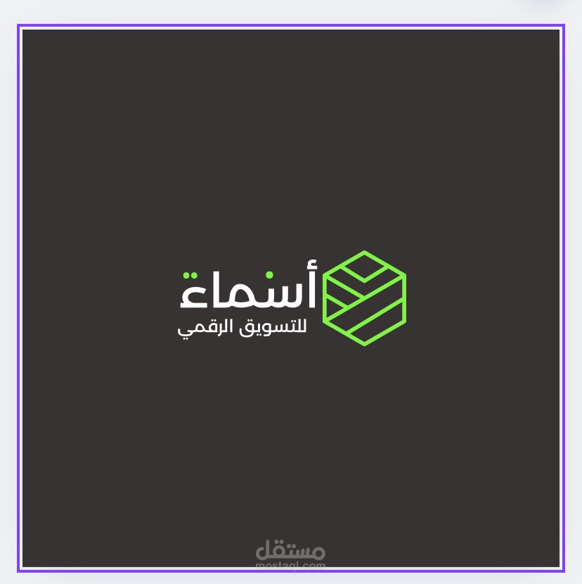 مسوق الكتروني محترف