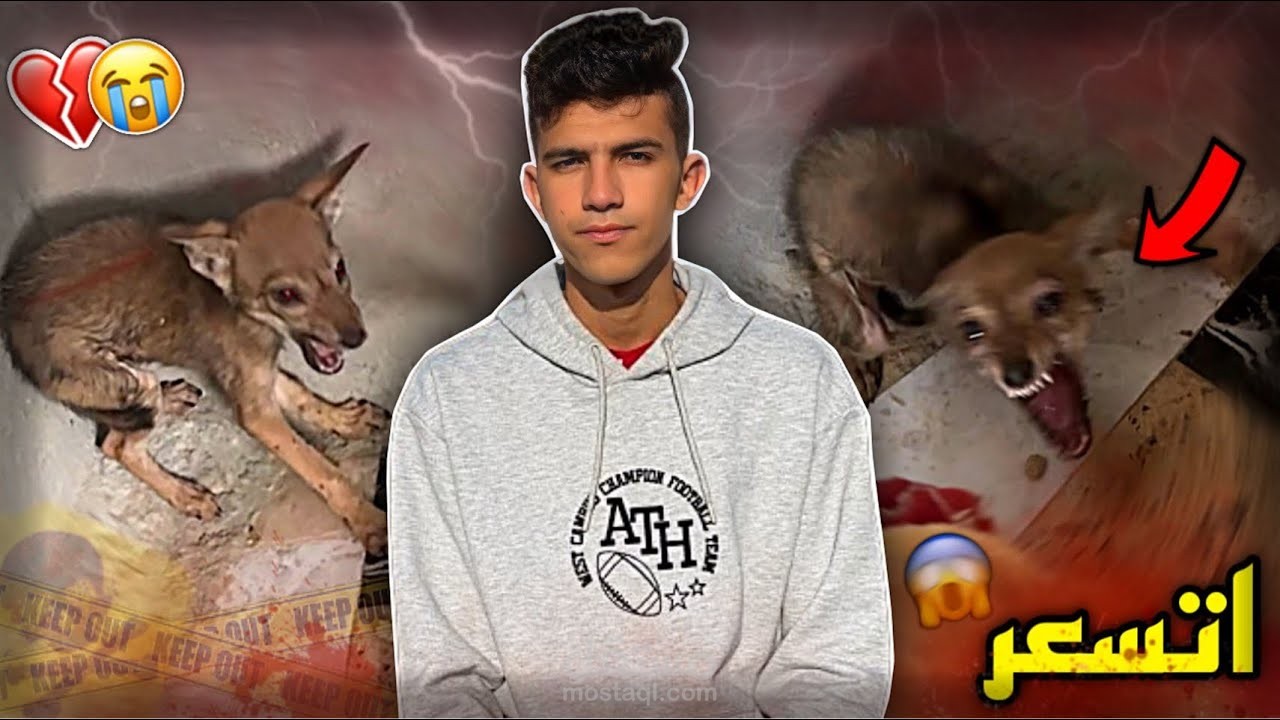 مونتاج لليوتيوبر عمر احمد 1.7 مليون مشترك