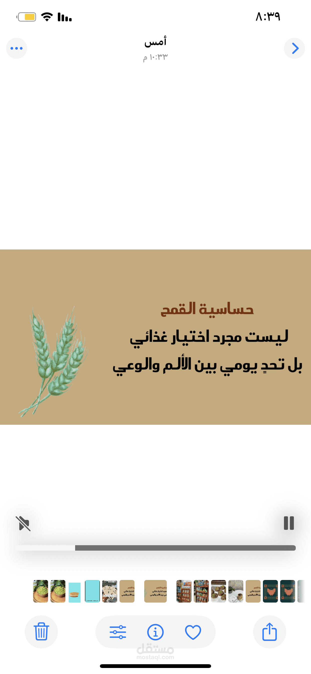 عرض حساسيه القمح