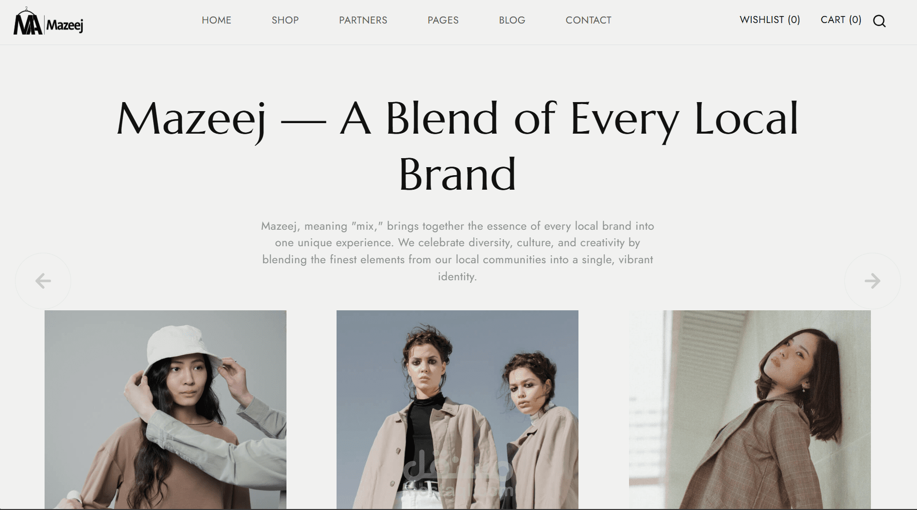 تصميم وتطوير متجر إلكتروني تجاري يعرض تشكيلة من المنتجات المتنوعة ضمن تجربة تسوق سهلة وجذابة عبر الويب.