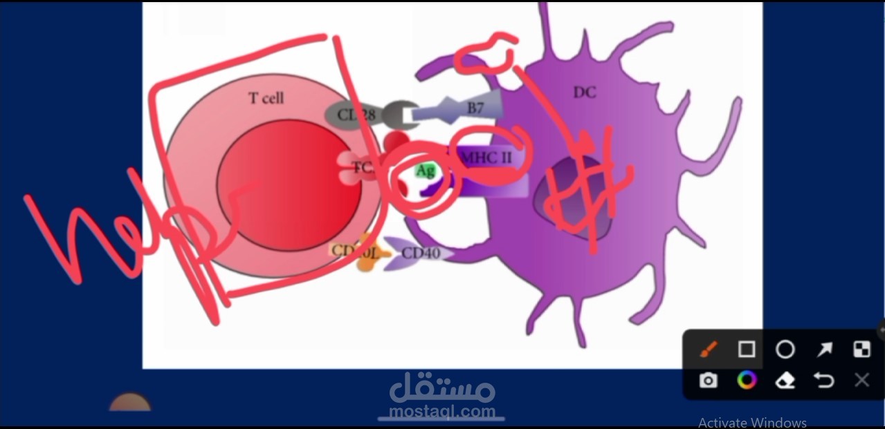 شرح محضرة مناعة