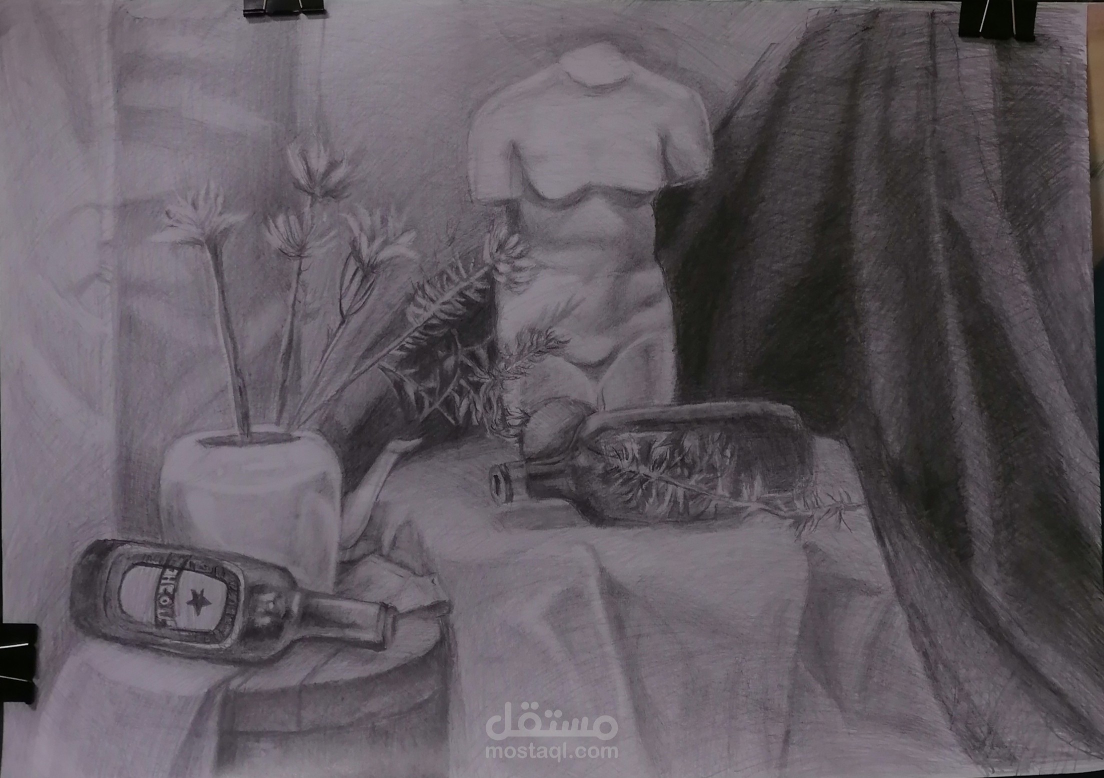 طبيعيه صامتة