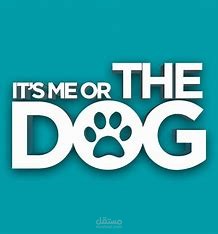 it s the Dog