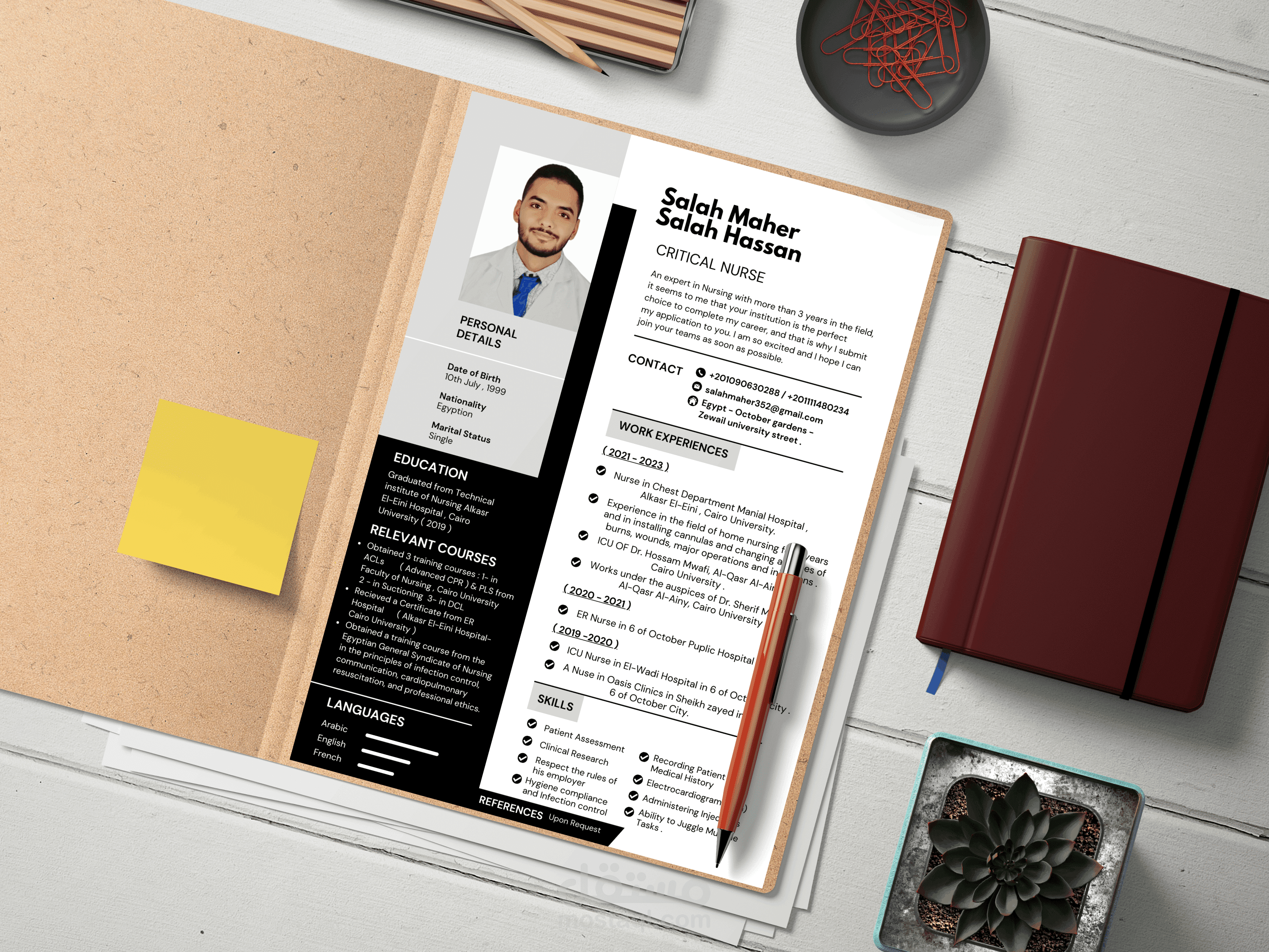 professional CV designing .