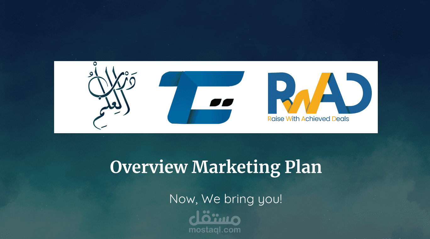 خطة تسويق شركة تكنومصر للبرمجيات