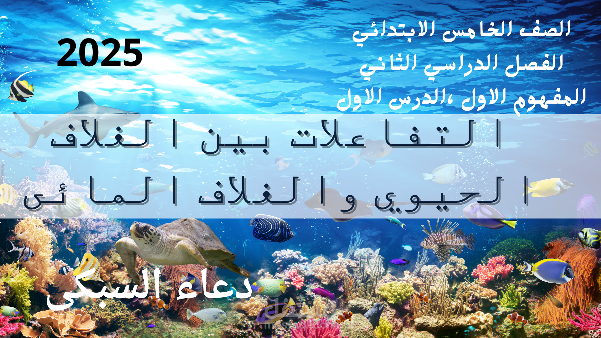 علوم الصف الخامس