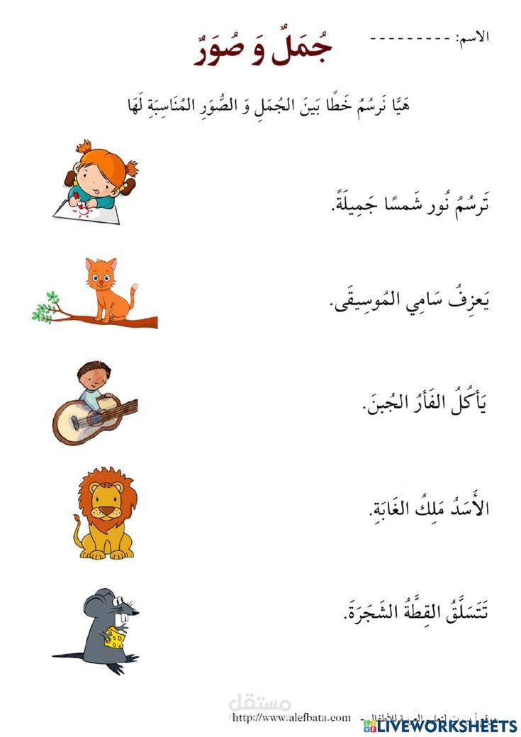 أنشطه و اوراق عمل