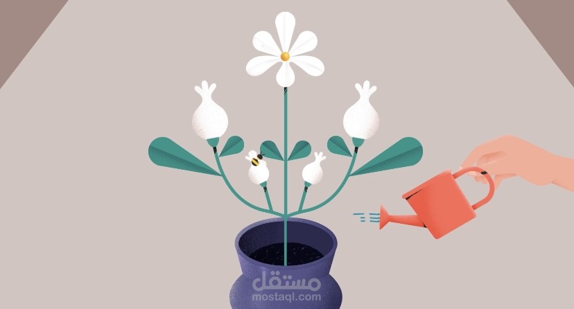 Motion graphic for seed&steam for plants