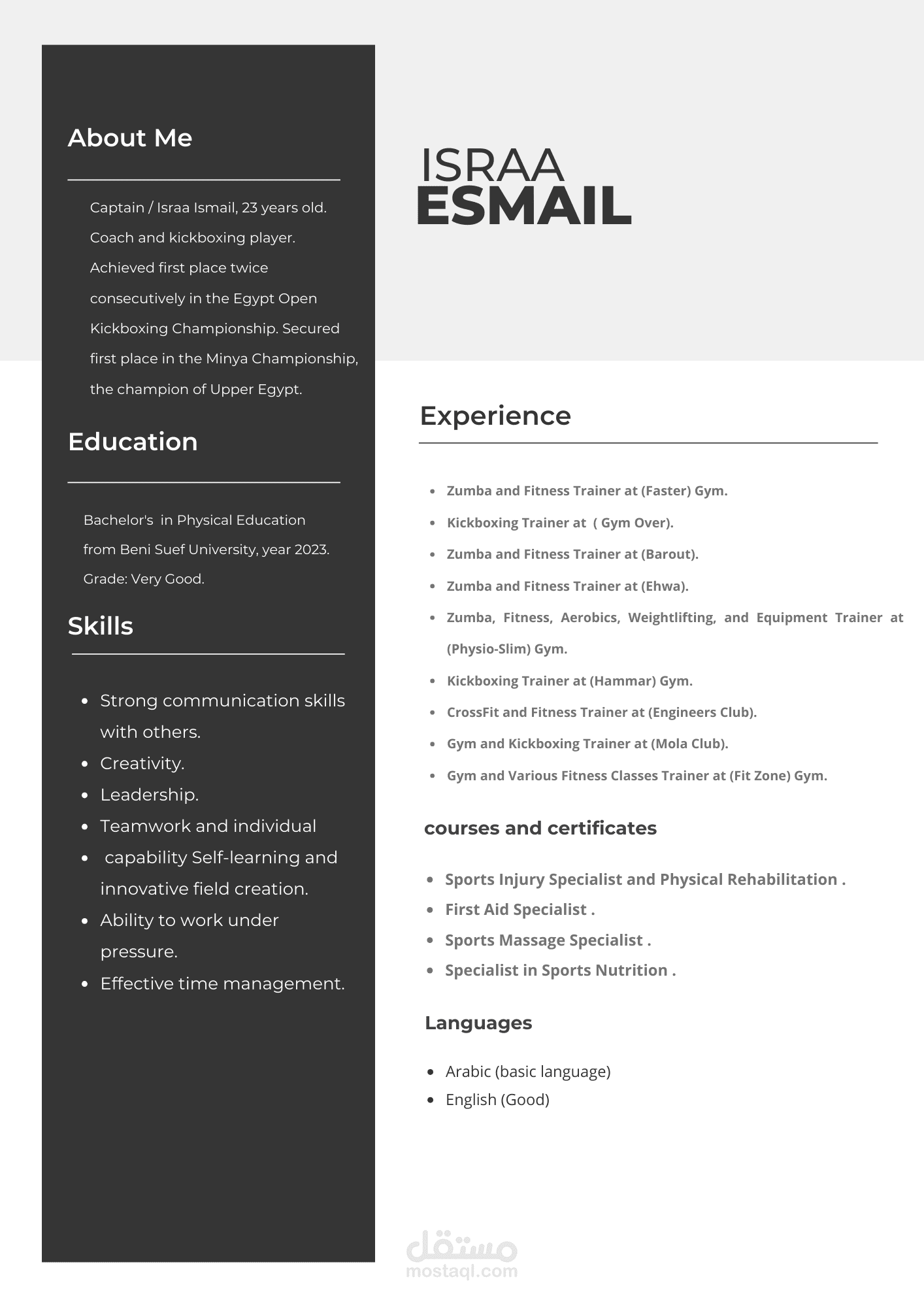 Professional CV