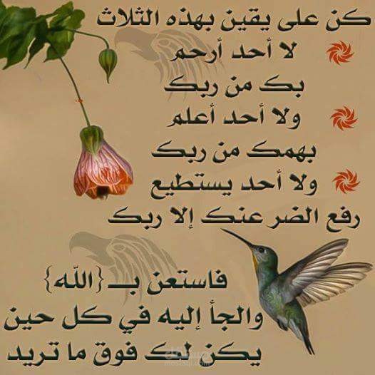 كاتب معاصر