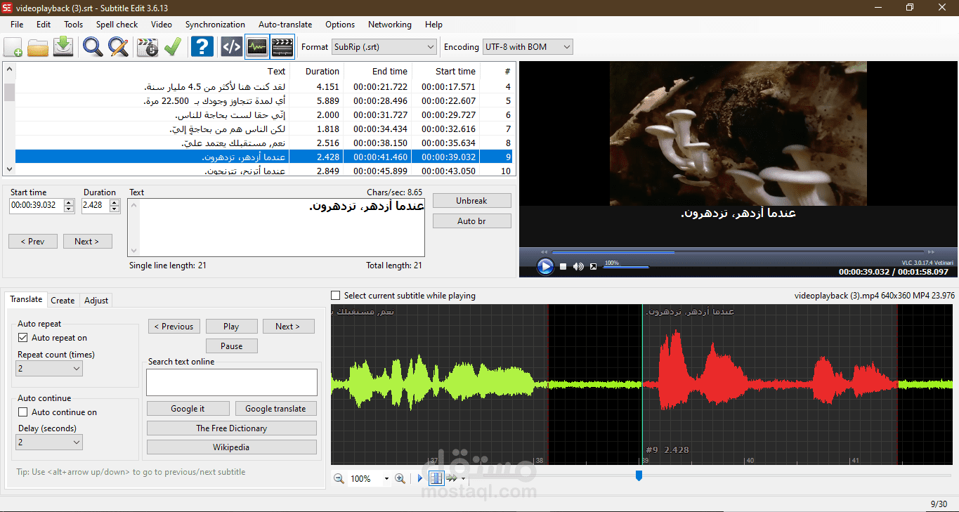 ترجمة فيديو من الإنجليزية إلى العربية ( Subtitle )