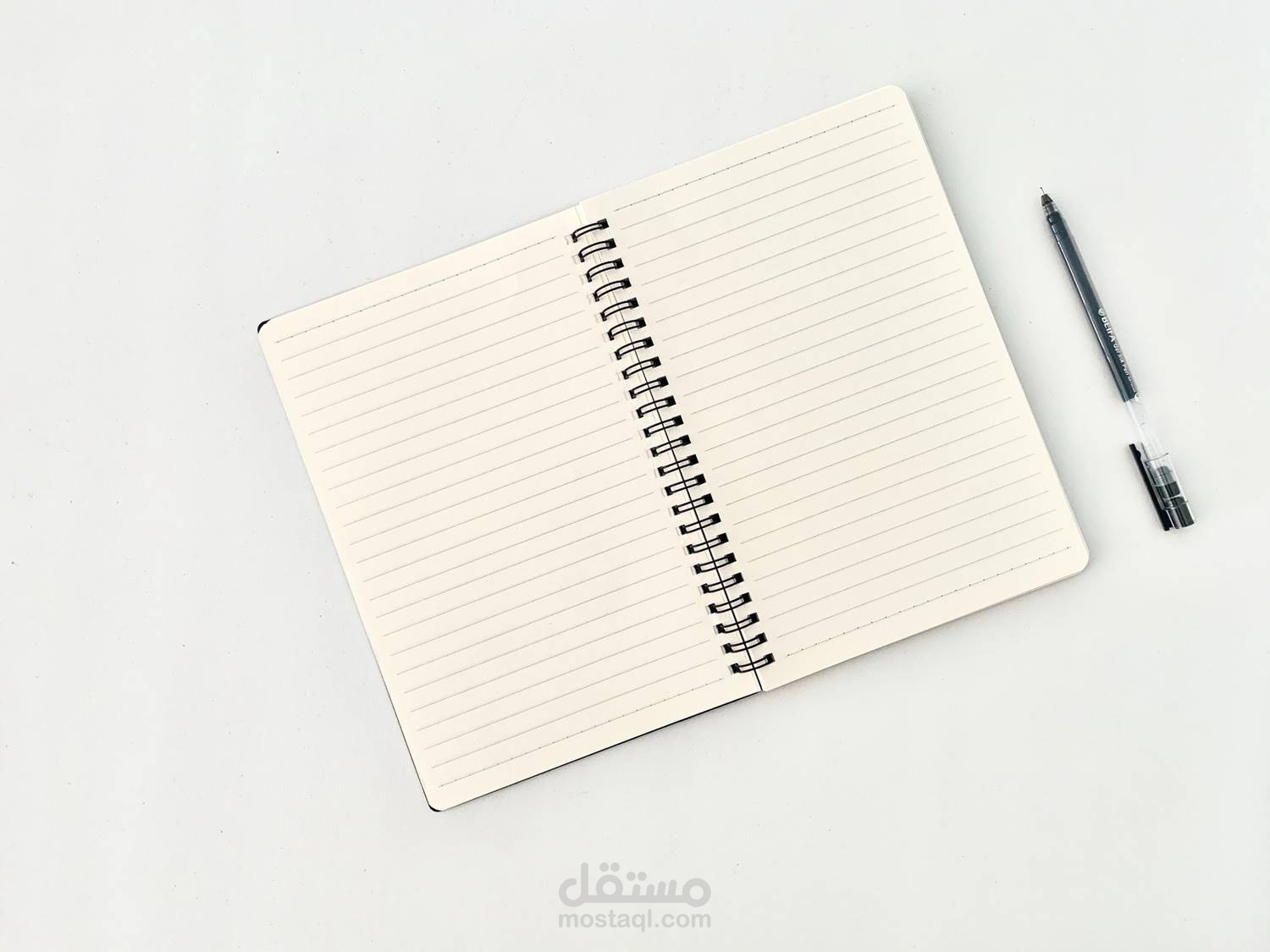 تقديم وإعداد وكتابة أفكار وخطط وبرامج