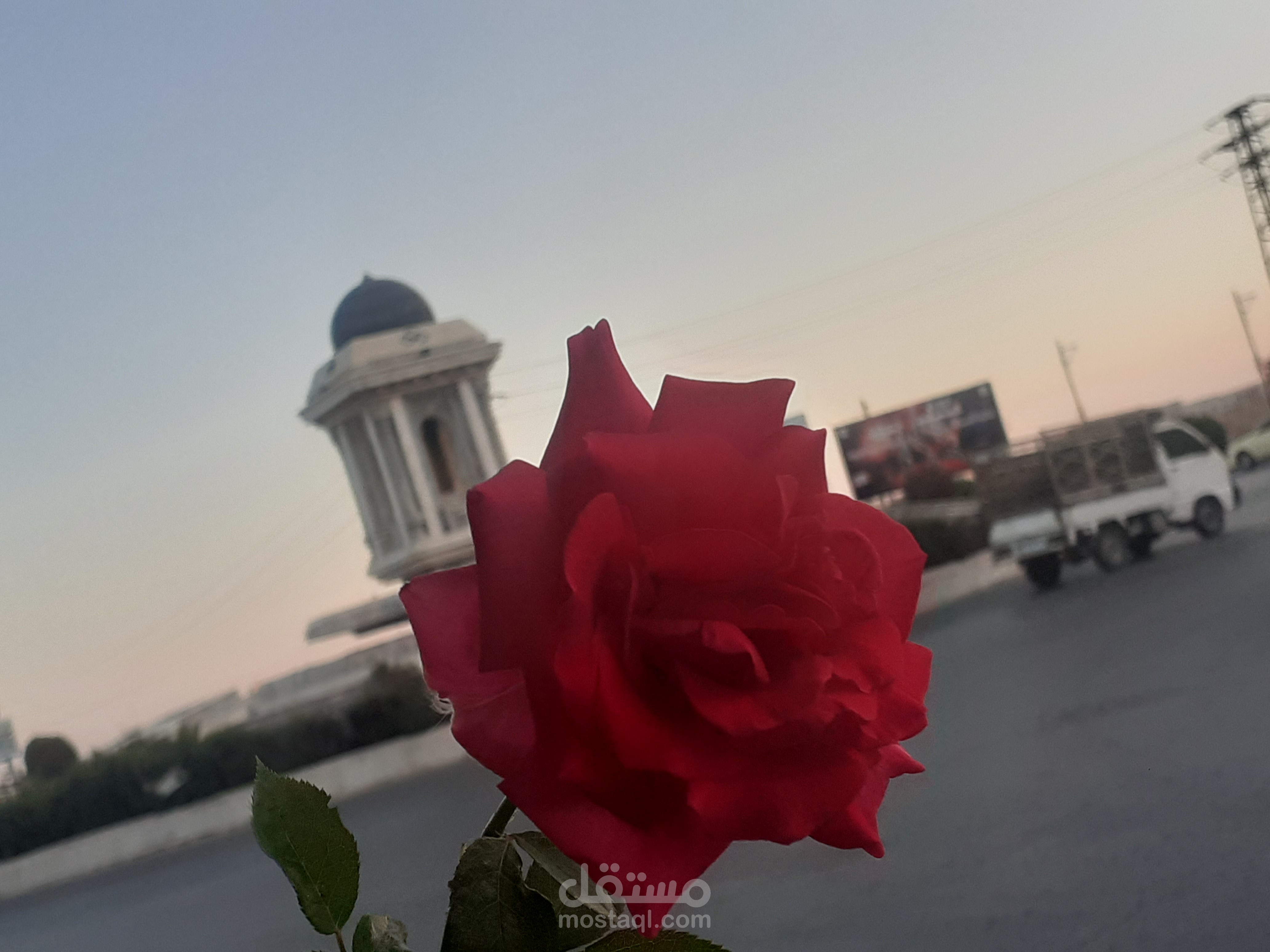 لم اعمل هنا من قبل