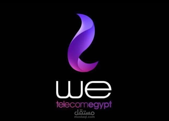 إدارة البيانات الفنية والدعم الفني - شركة WE (المصرية للاتصالات)