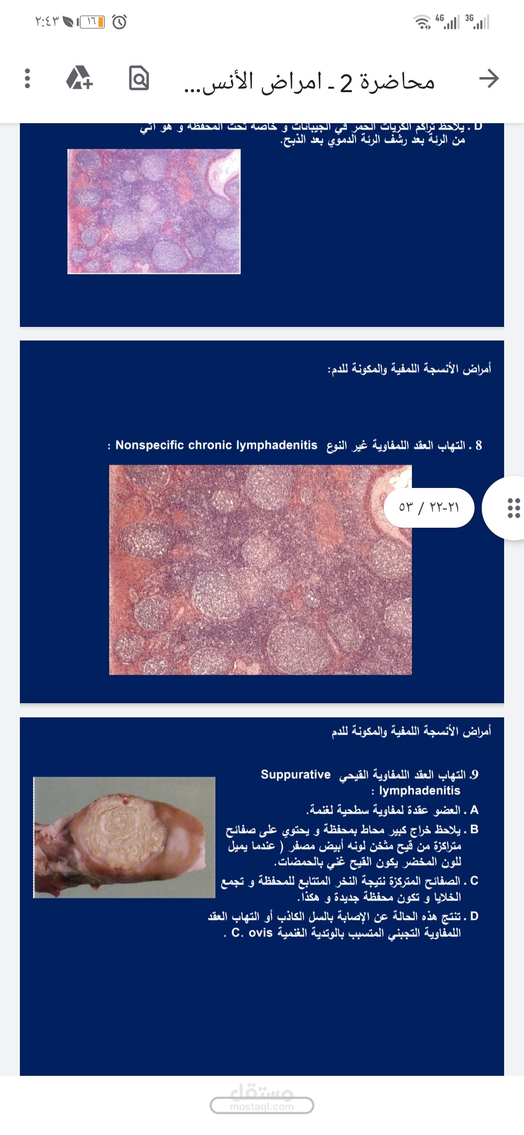 تنسيق محاضرات وجلسات عملية ع برنامج power point