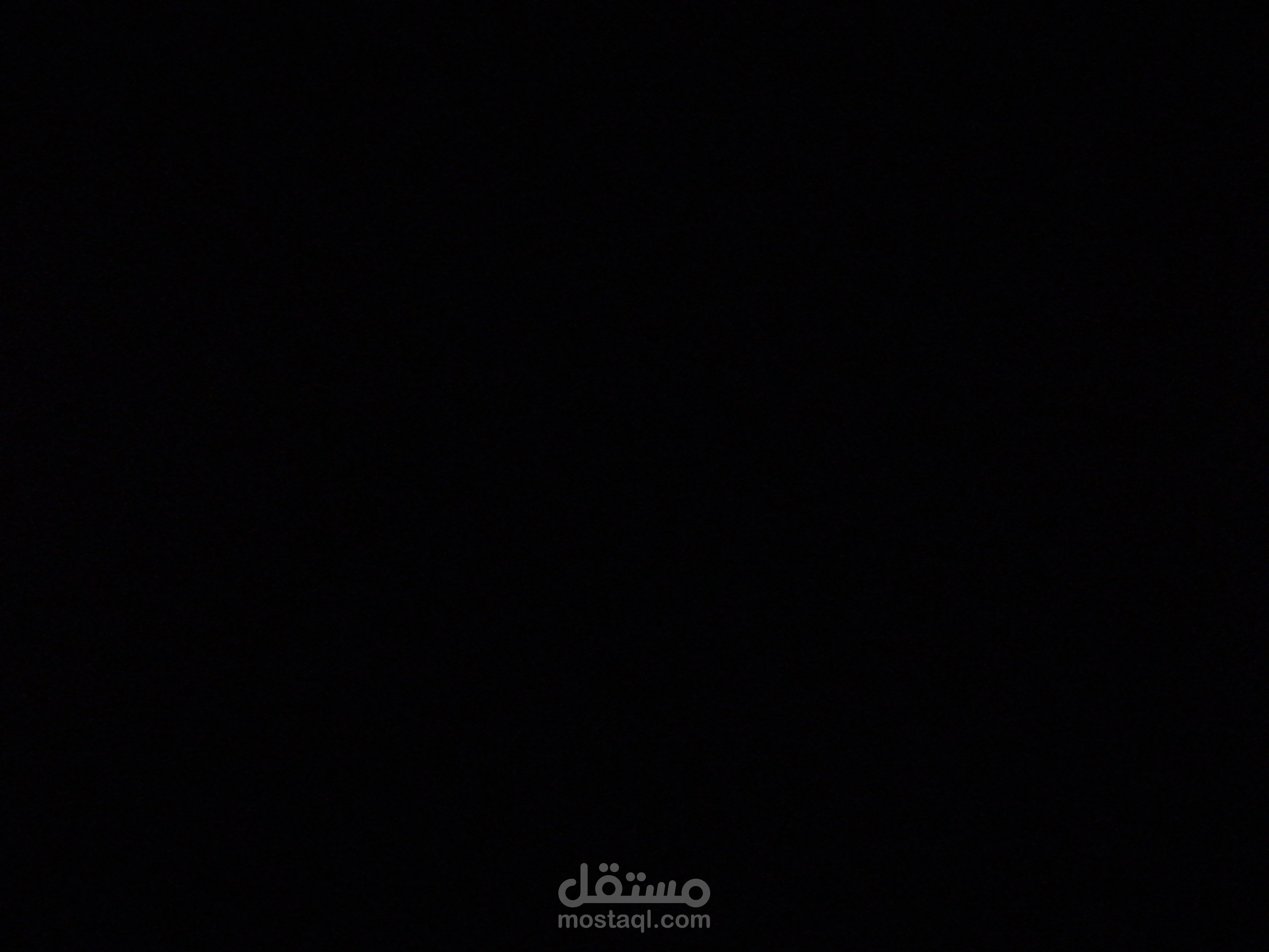 الدقة في العمل