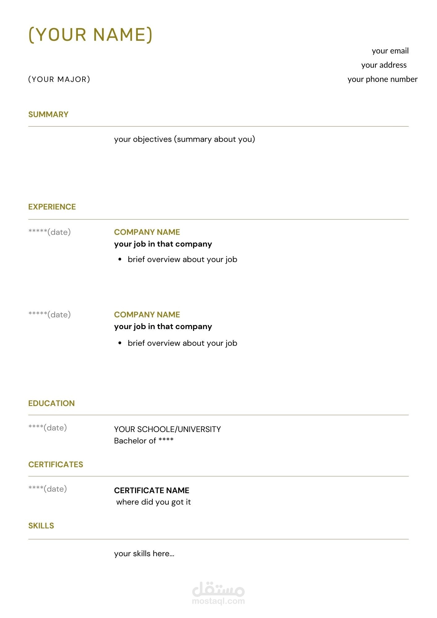 سيرة ذاتية احترافية (فيها النقاط الأساسية تبعا للمواصفات العالمية)