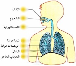 العمليات التعليم التعلمية