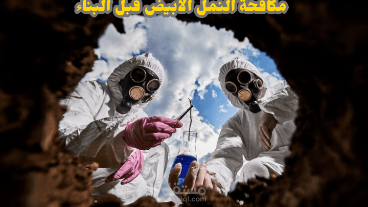 مكافحة النمل الابيض قبل البناء
