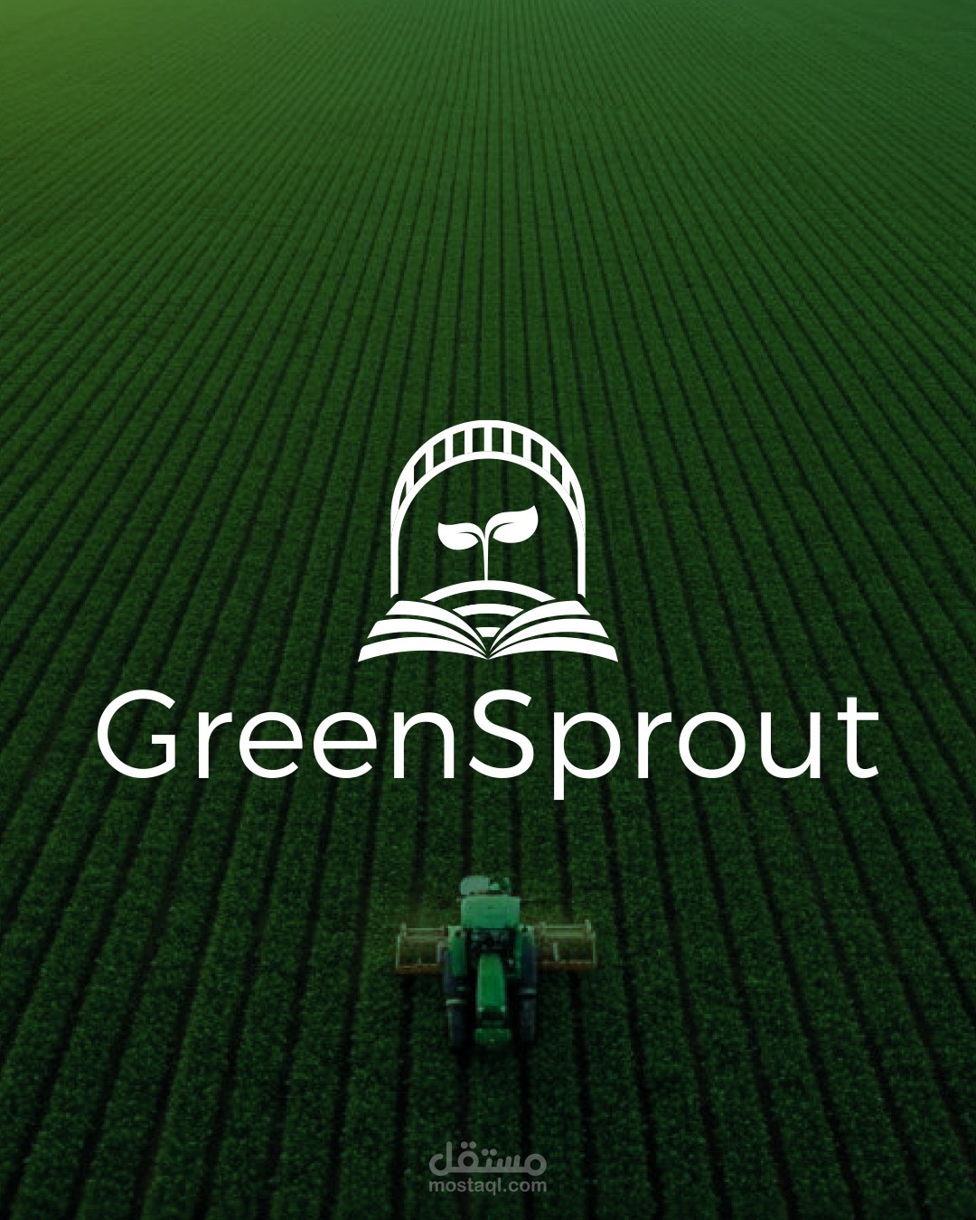 تصاميم سوشيال ميديا