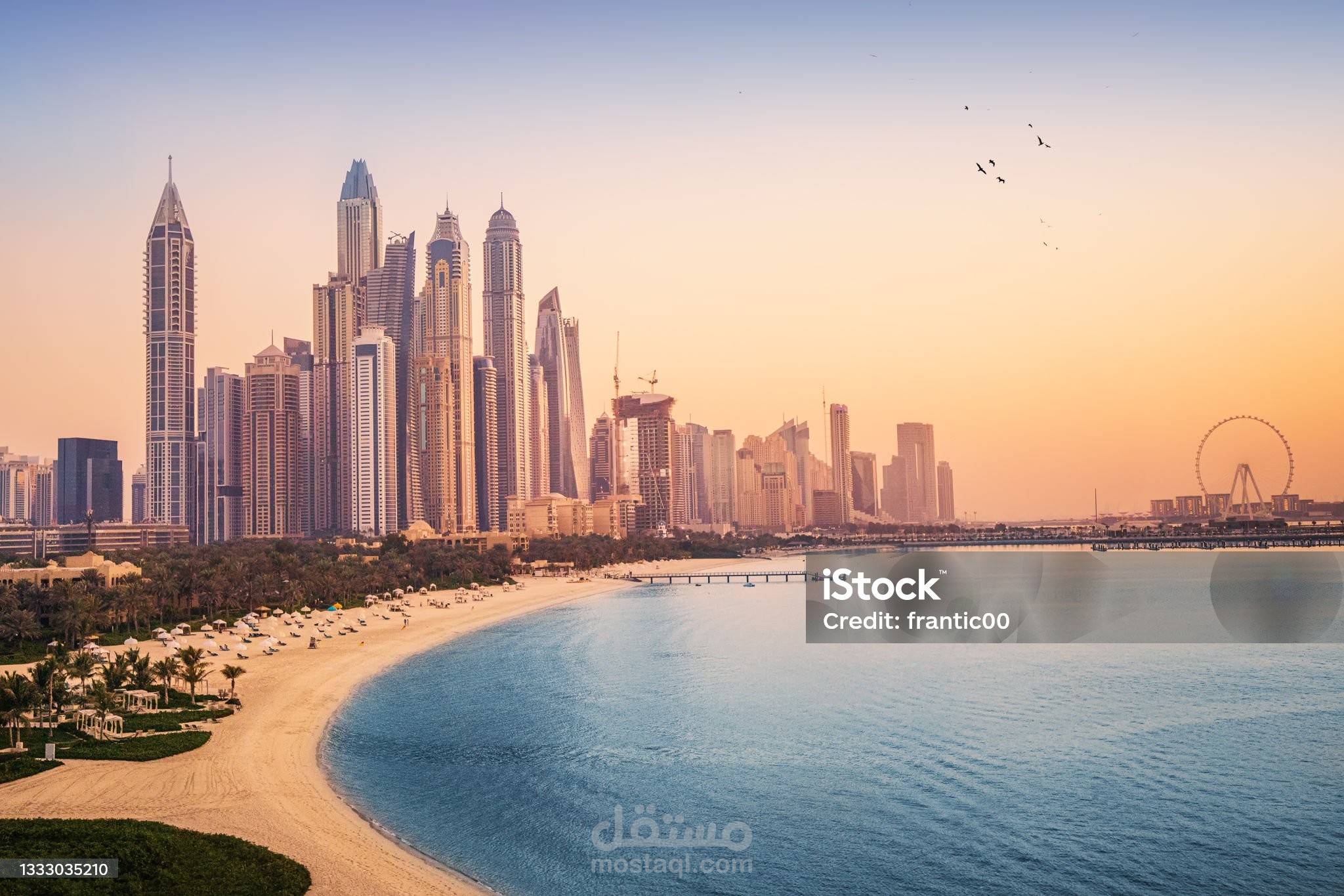 تأسيس شركة