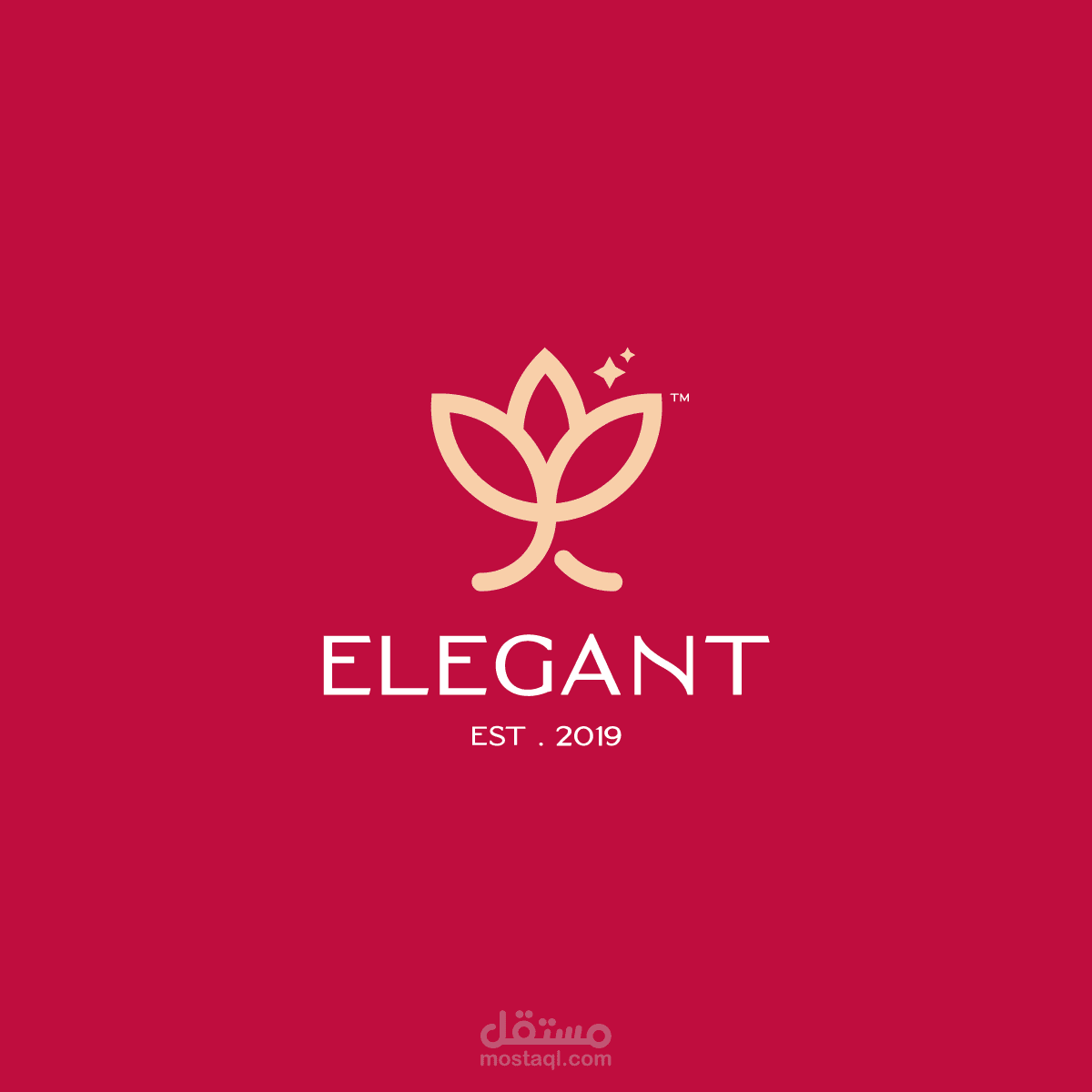 Elégant Store ll Branding