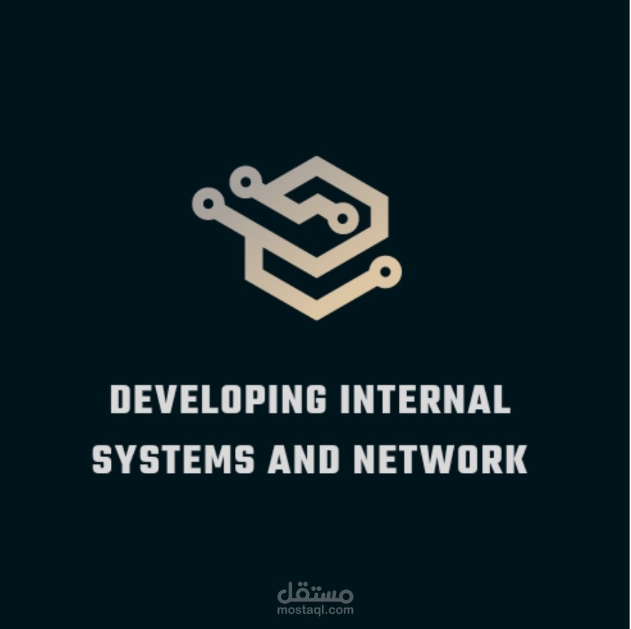 تطوير الأنظمة الداخلية والشبكات Developing internal systems and networks