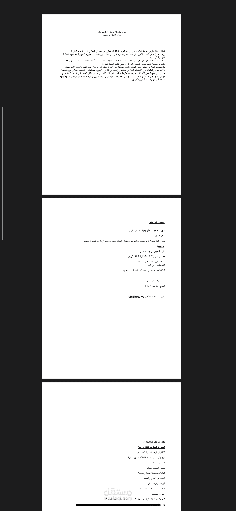 محتوى اخباري، ابداعي ، إعلاني،تسويقي