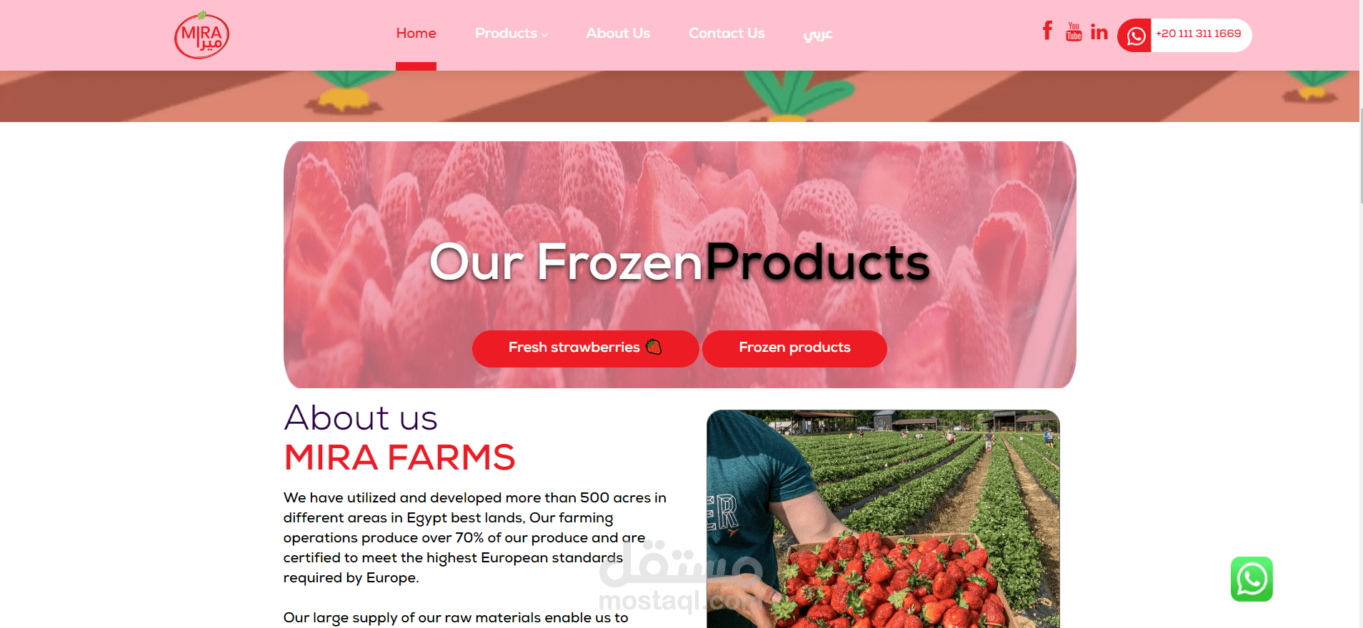 تصميم وادارة موقع شركة مزارع ميرا mirafarmseg.com