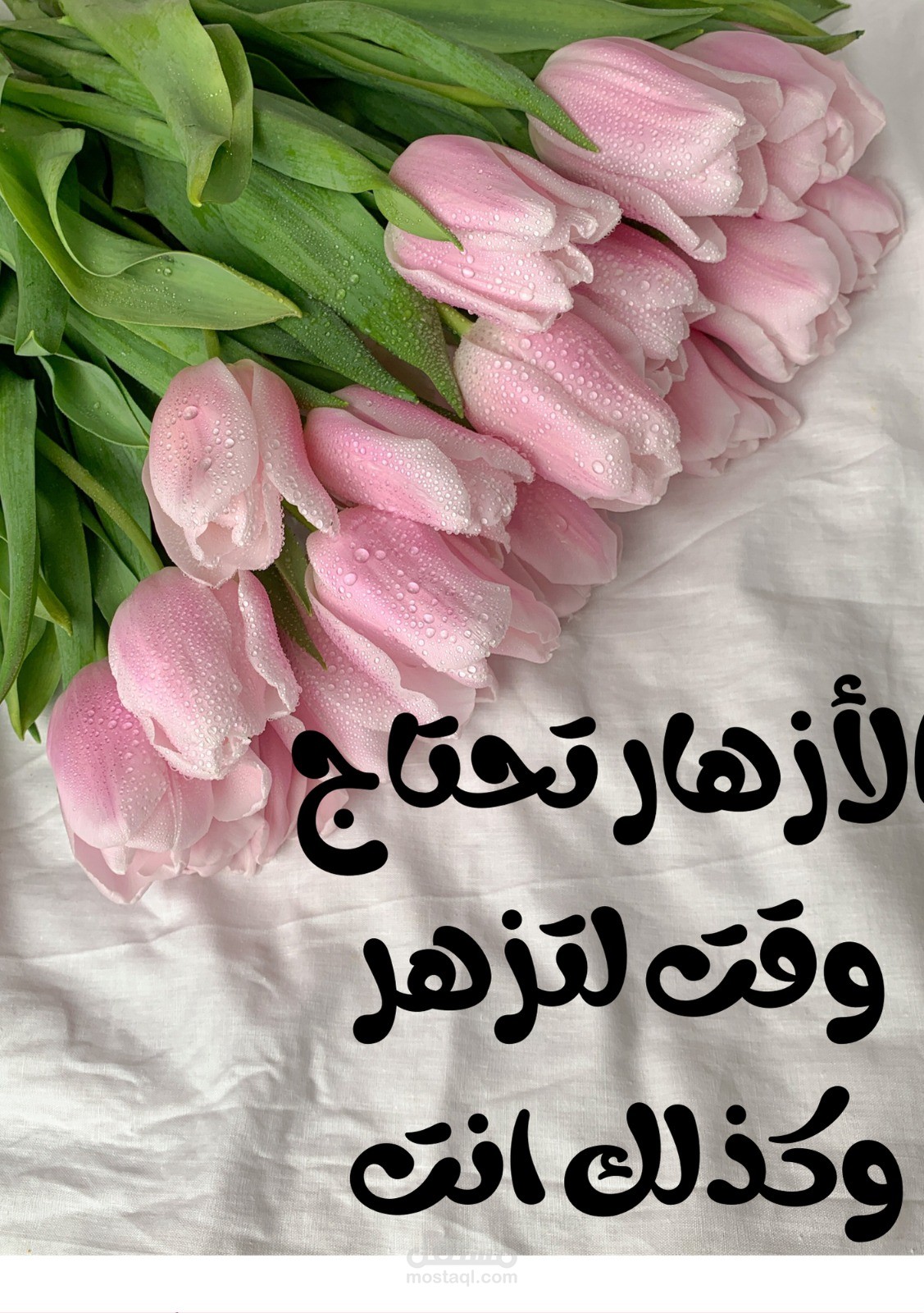غلاف وتصميم مذكرة Notebook