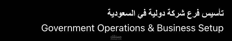 تأسيس وتنظيم العمليات الحكومية والإدارية لفرع شركة دولية في السعودية