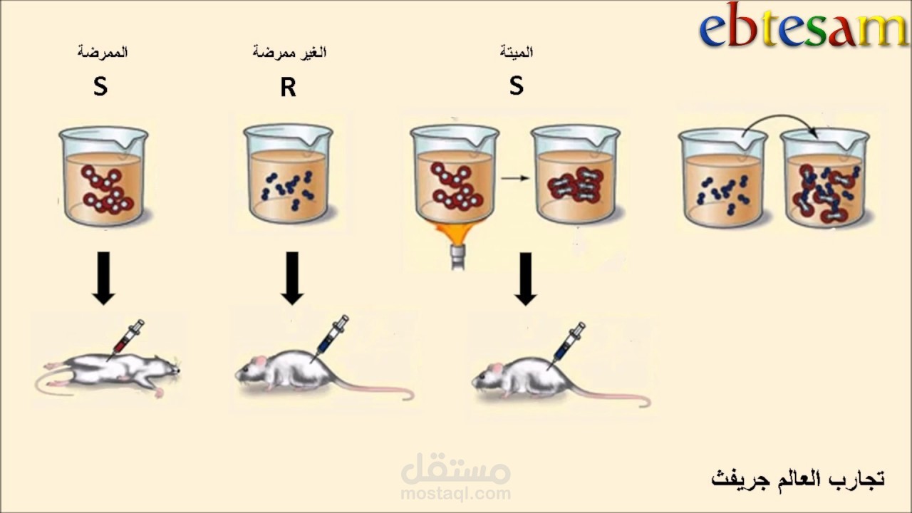 شرح درس من منهج الأحياء للصف الثالث الثانوي بمصر