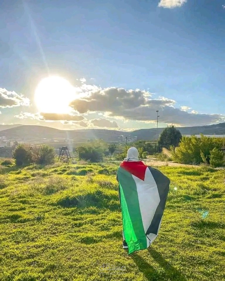 تصميم لوجو لخدمات الموقع الأشهر Ty waye