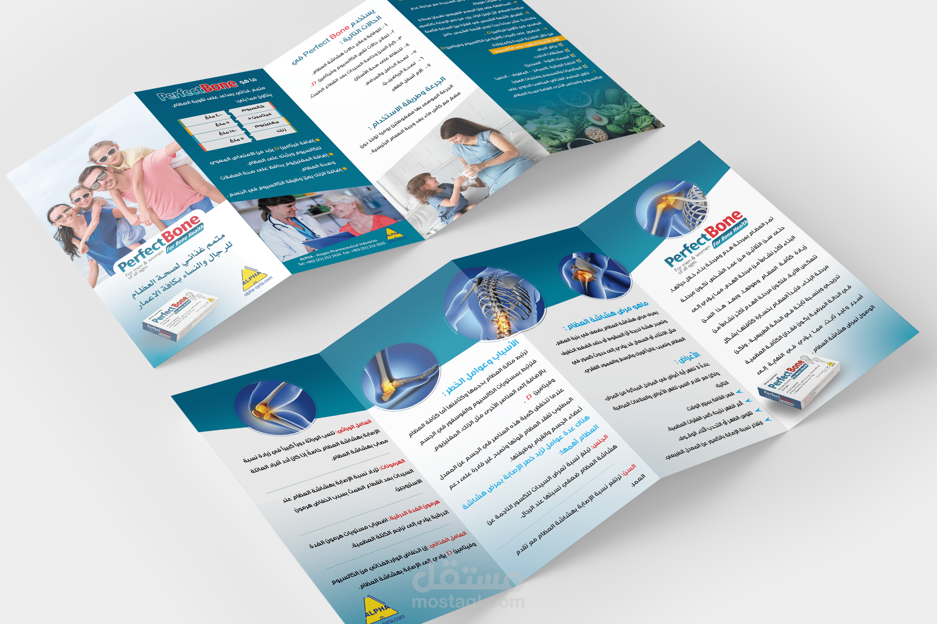 تصميم برشور 4 طويات 40×21