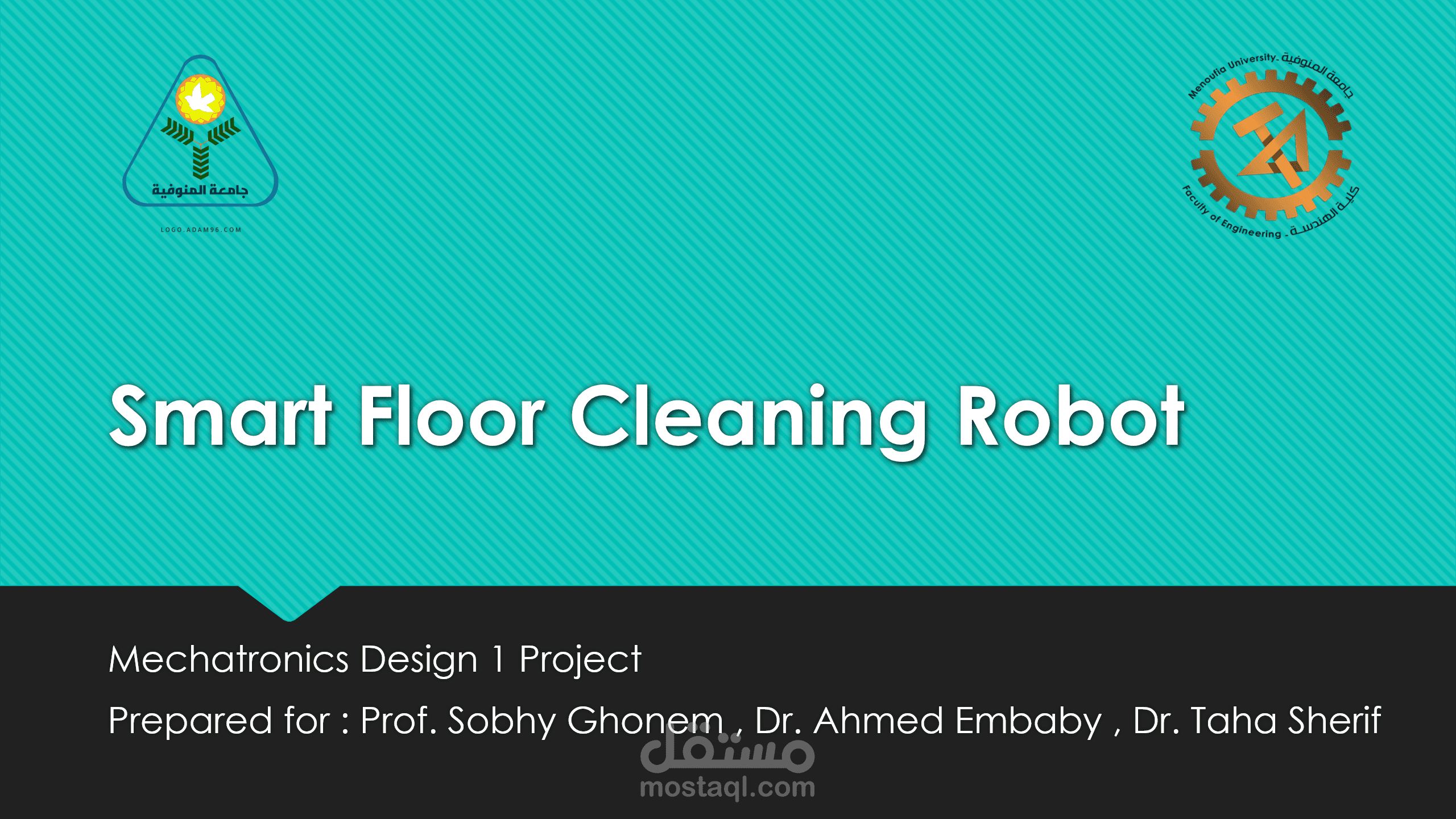 Presentation about students’  project