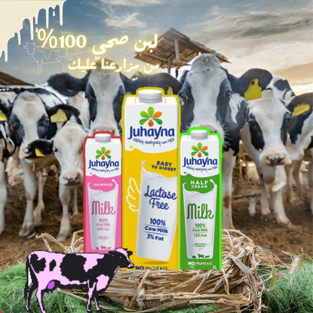 Social media Ads (إعلانات وسائل التواصل الاجتماعي)