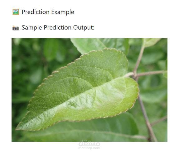 نظام ذكاء اصطناعي لاكتشاف أمراض النباتات من الصور