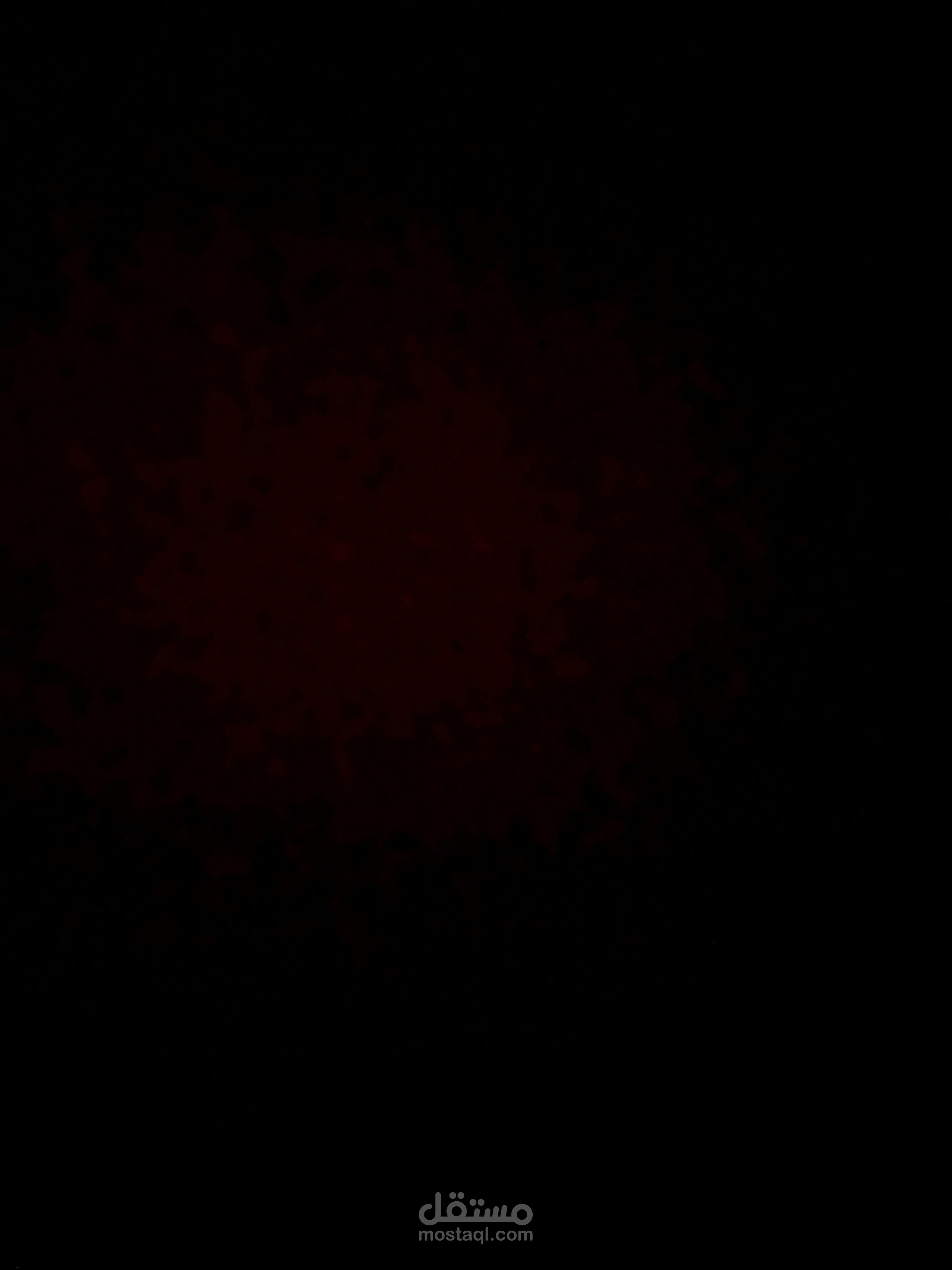 الترجمة