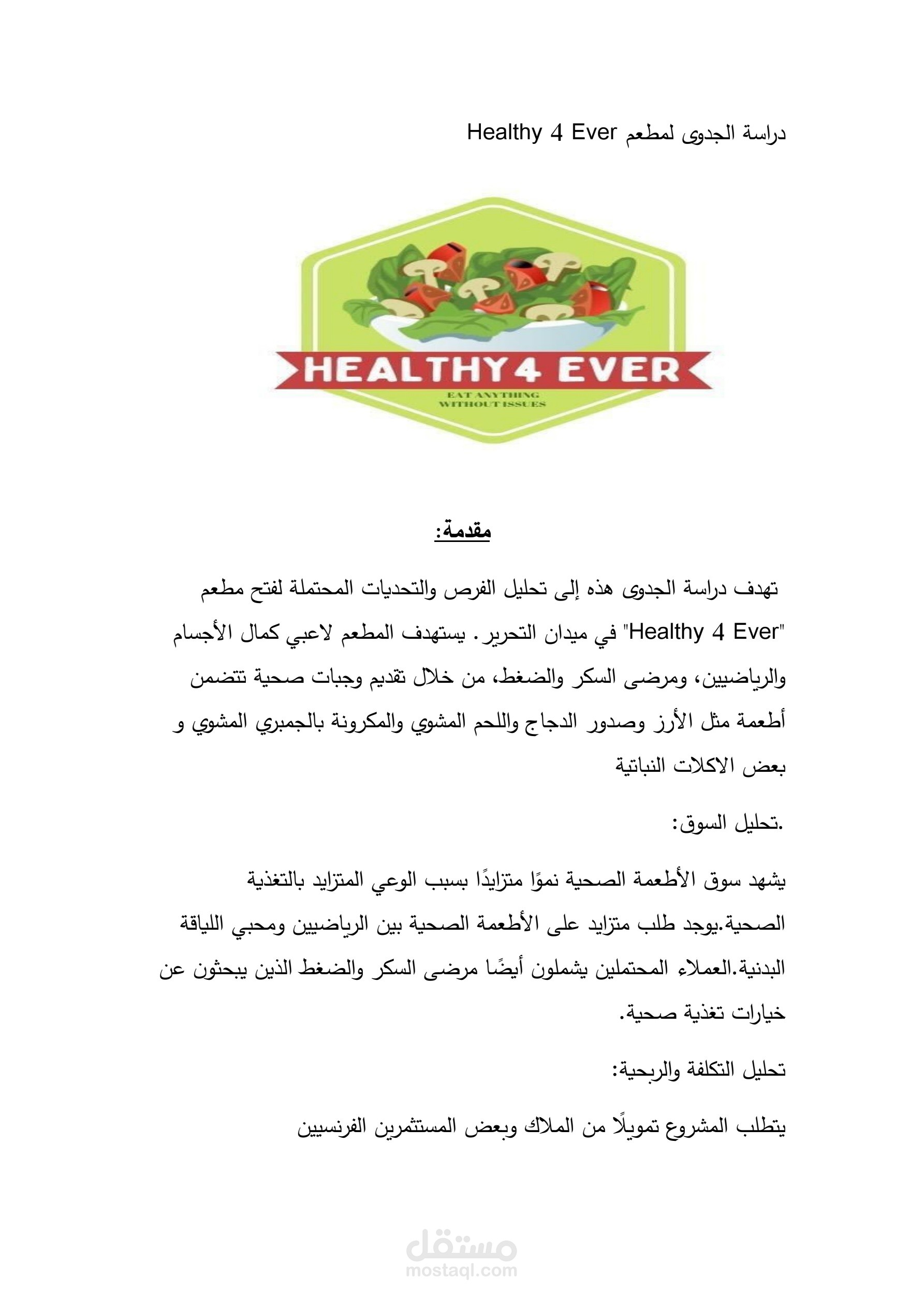 نموذج صغير من دراسة جدوى لمشروع من وحى الخيال