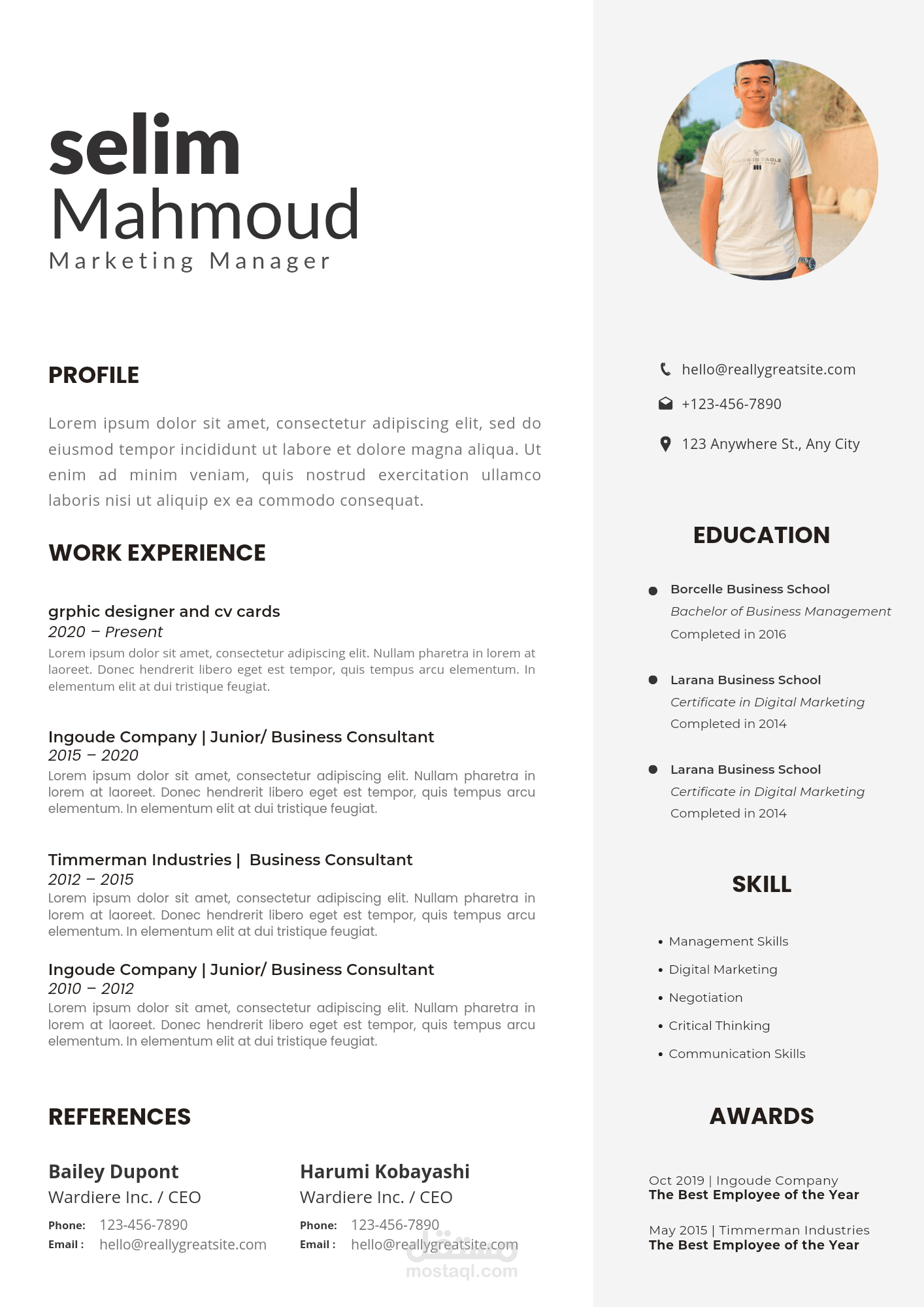 بطاقة سيرة ذاتية CV باللغة الانجليزية