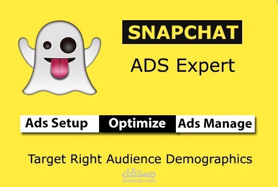 نتائج حملة إعلانية على سناب شات قومت بإنشائها وإدارتها