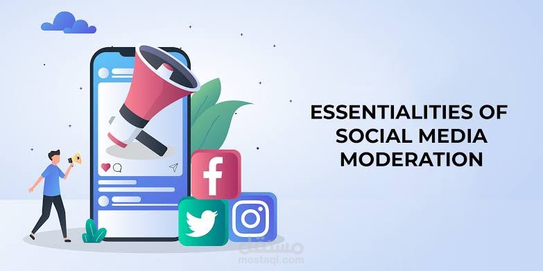 Facebook Platform ( Remote )