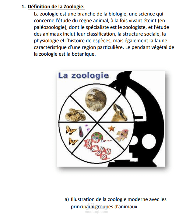 zoologie