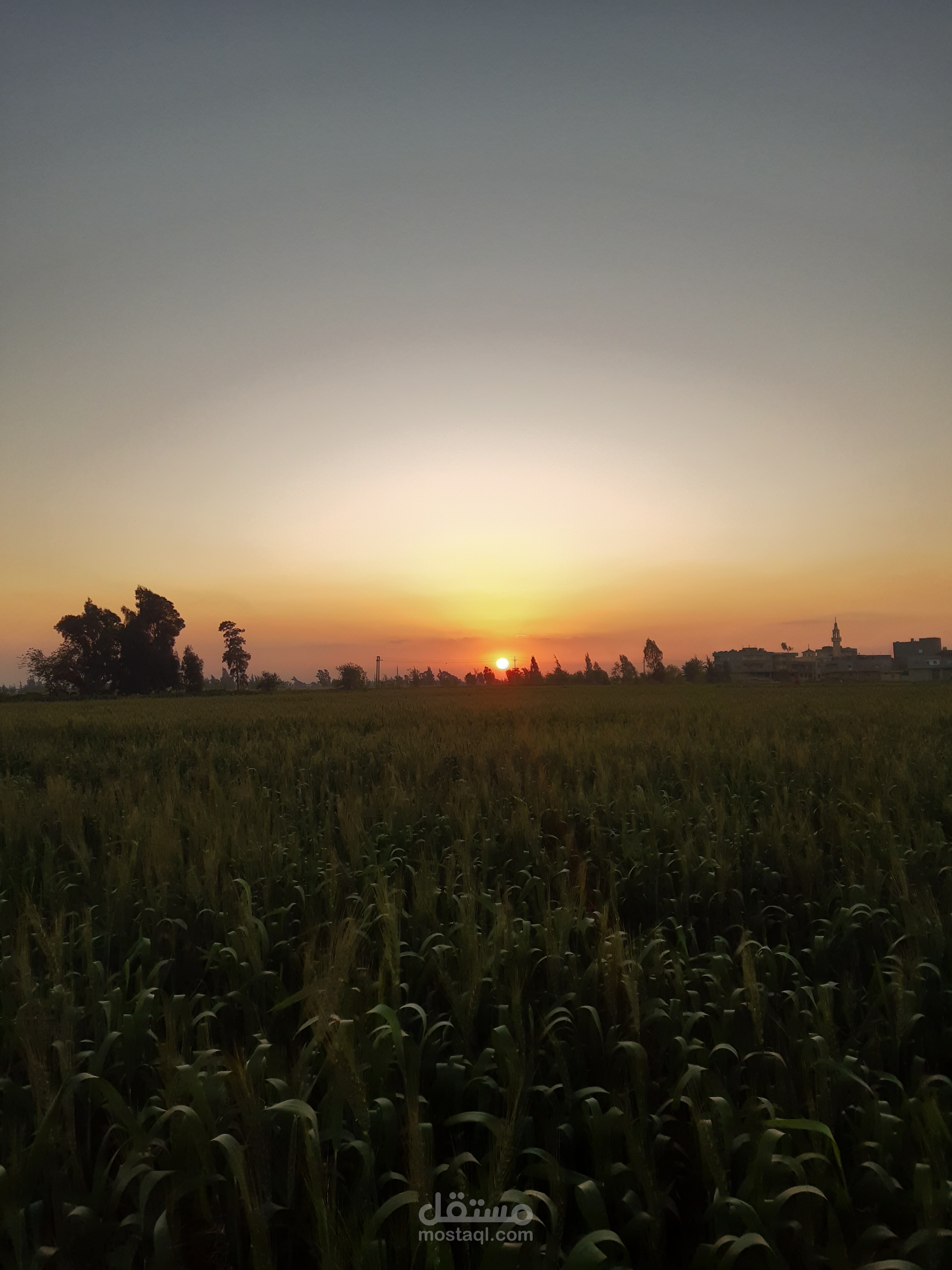 السرعه والدقه