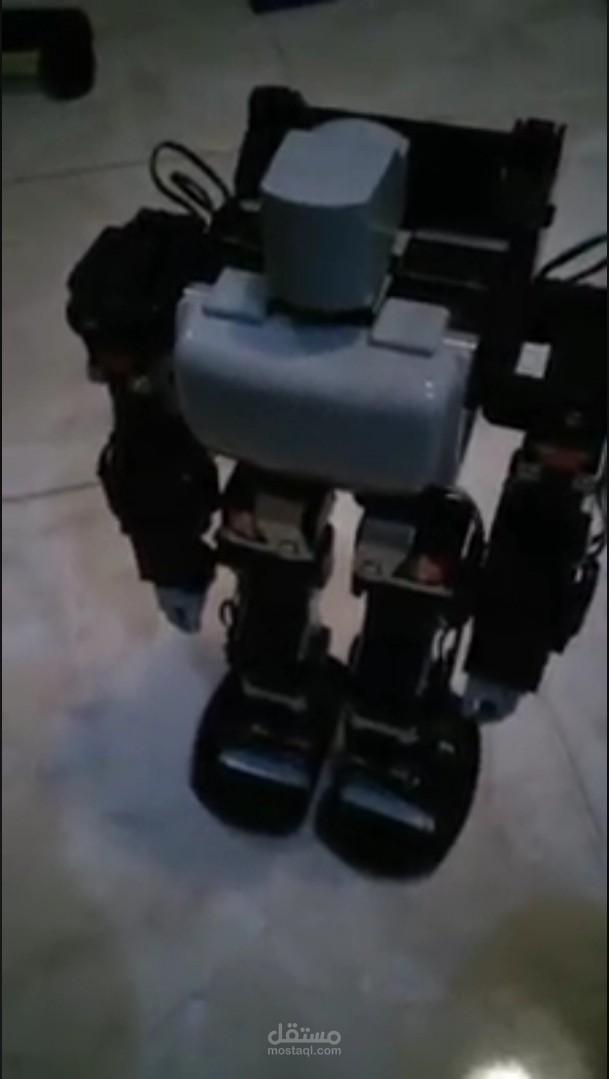 Programming A Robot called ( neko )..