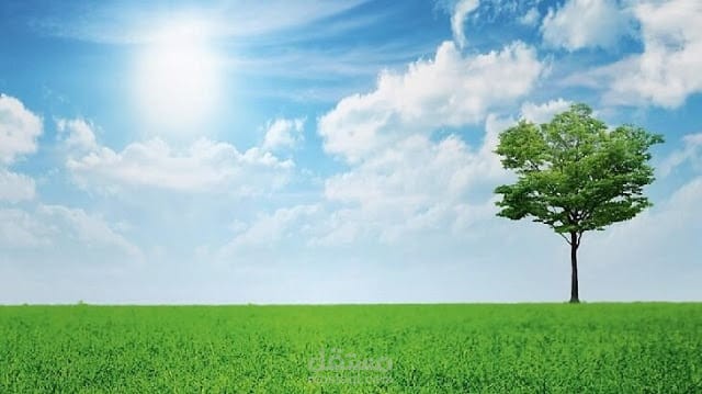 موضوع عن البيئة والمحافظة عليها